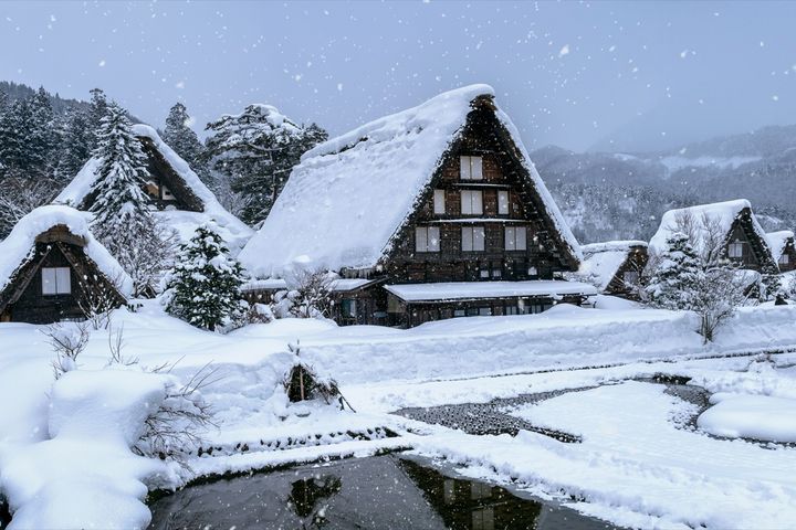 不論是計畫冬季行程或2025出遊，都可在東南旅遊ITF線上旅展找到超值優惠。　圖：東南旅遊／提供