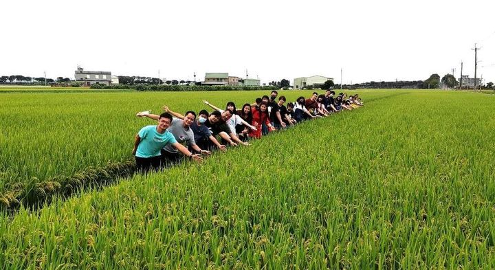 ▲「田間玩很大」民眾漫步田間（歷史照片）。　圖：台南市政府觀光旅遊局／提供