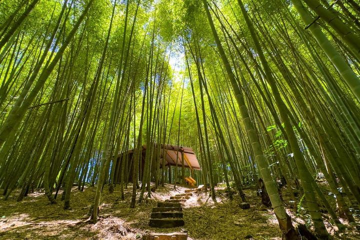 瑞太古道。　圖：嘉義縣文化觀光局／提供