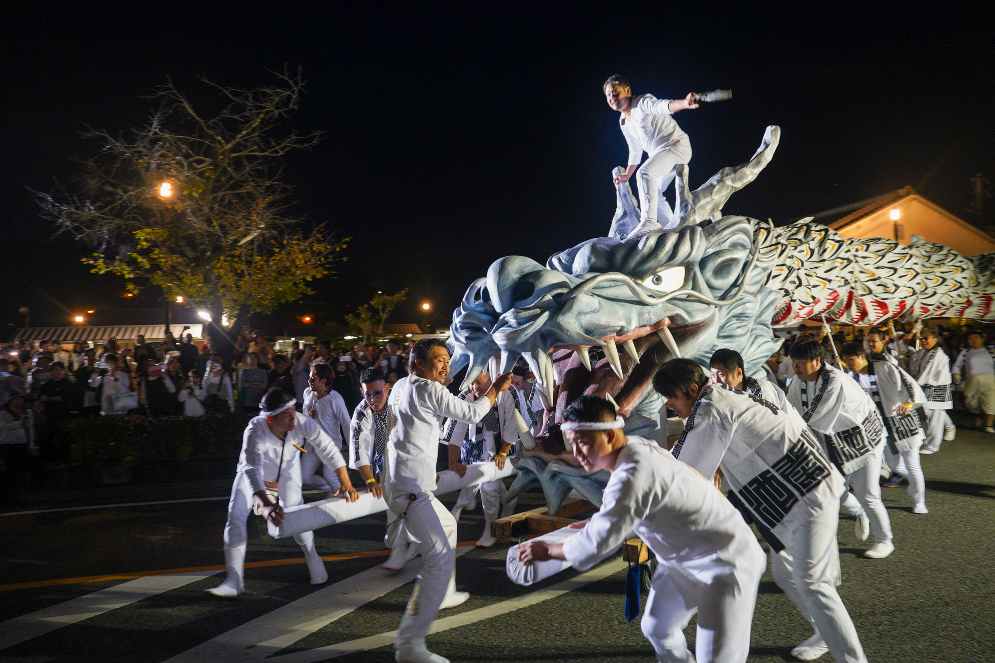 ▲菊池地區的年度活動白龍祭。　圖：菊池市／提供