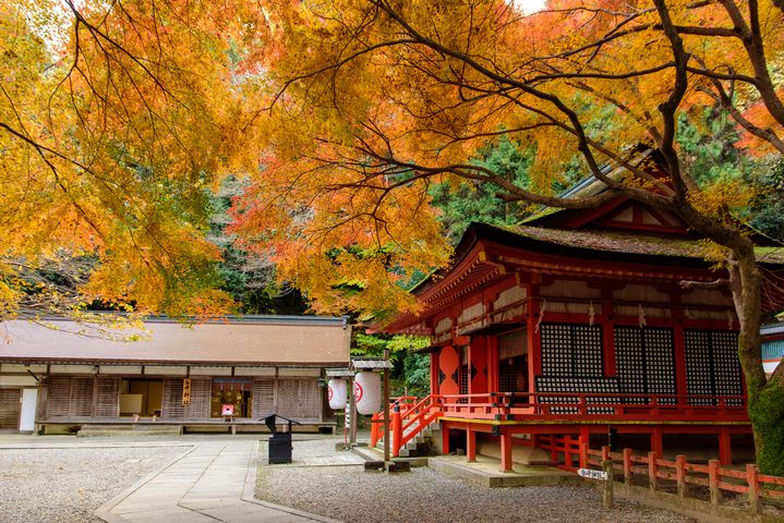 ▲香川縣魅力景點－金刀比羅宮。　圖：shutterstock／來源