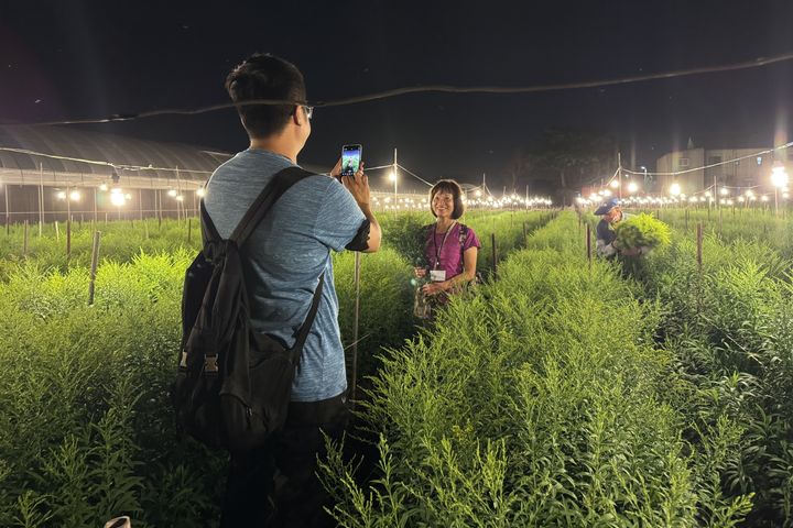 ▲小旅行將帶旅客參觀電照花田。　圖：社團法人田尾公路花園協會／ 提供