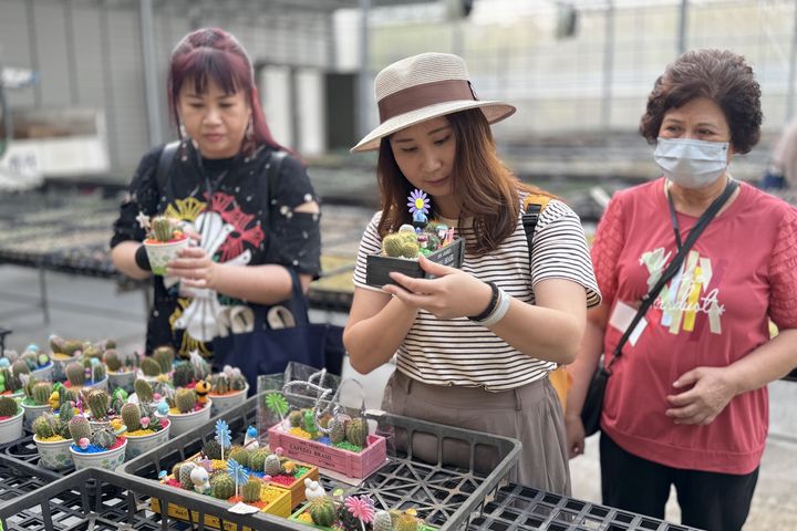 在田尾可盡情挑選購買喜愛的盆栽。　圖：社團法人田尾公路花園協會／提供