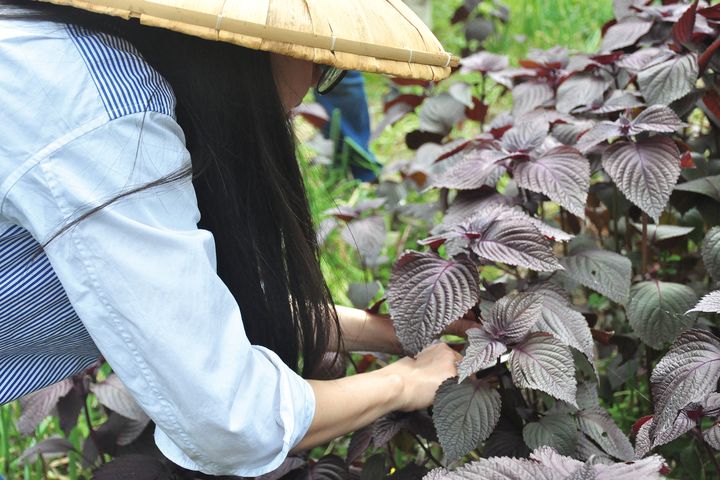 透過永續遊程及富含品牌特色的獨家產品，民眾在農遊中親近土地、愛護大自然。　圖：農業部農村發展及水土保持署／提供