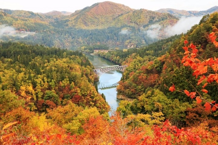 位於福島縣的只見線電車被《日本經濟新聞》評選為最美紅葉鐵道路線。　圖：只見線／提供