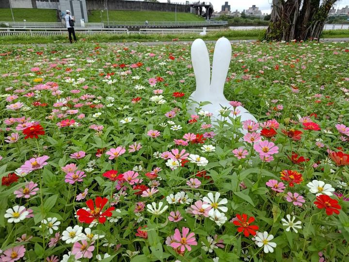 ▲跟著充滿童趣的小兔子探訪童話花園。　圖：台北市政府工務局／提供
