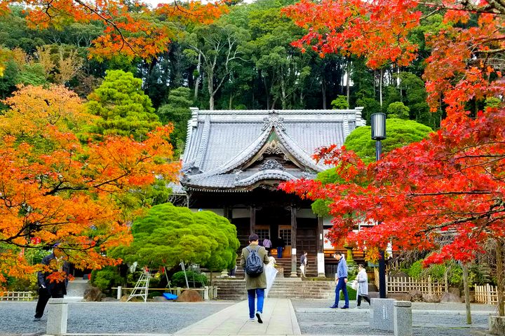▲青野川沿岸是觀賞南之櫻的主要地點。　圖：日本富士之國靜岡縣駐台辦事處／提供