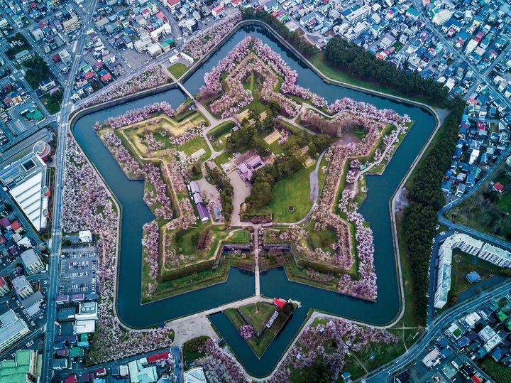 ▲五稜郭公園被視為函館最佳的賞櫻場所，擁有星形的護城河堡壘，以及展望台，這個公園是到訪函館時的必遊景點。　圖：shutterstock／來源