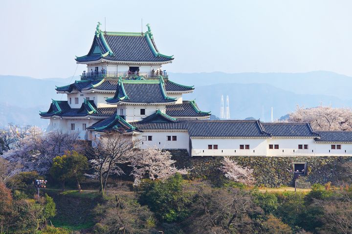 ▲和歌山城是日本「3大平原山城之一」，寬闊的城堡場地一直是春季在和歌山賞櫻野餐的首選地點。　圖：shutterstock／來源