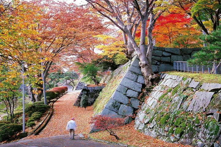 位於岩手縣盛岡市的盛岡城跡公園，最佳紅葉鑑賞期為11月上旬至中旬。　圖：岩手縣／提供