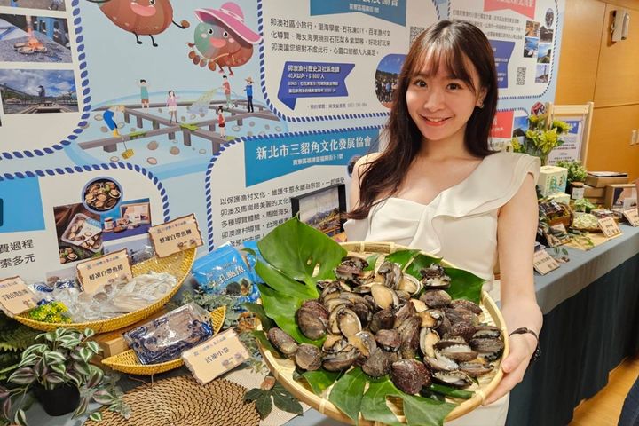 目前正是貢寮鮑魚盛產的季節。　圖：新北市政府漁業及漁港事業管理處 ／提供
