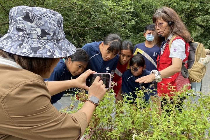 ▲蝴蝶蜜源植物介紹。　圖：茂林國家風景區管理處／提供