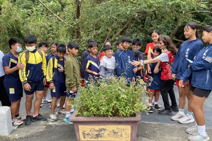 ▲入山尋找紫斑蝶棲地。　圖：茂林國家風景區管理處／提供