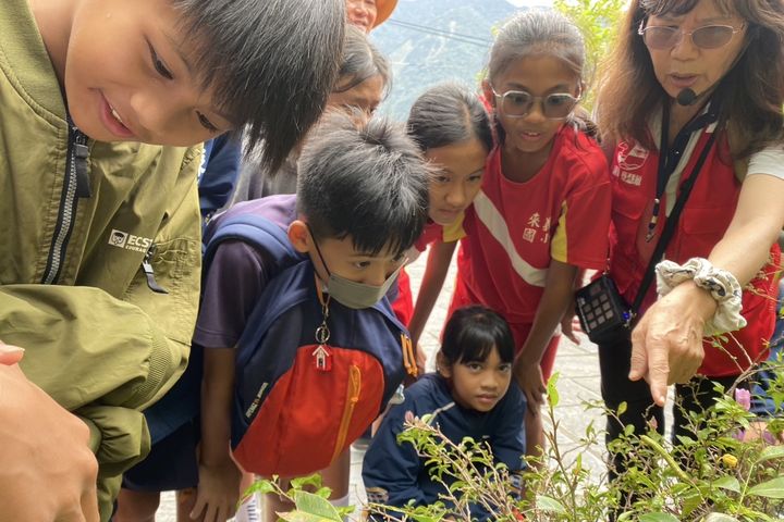 紫斑蝶棲地與蝶道解說。　圖：茂林國家風景區管理處／提供