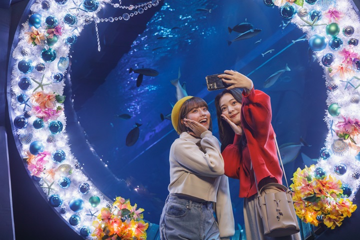 即日起至12/25，沖繩 DMM Kariyushi 水族館將在直徑約3公尺的圓形窗水槽上裝飾聖誕花圈，打造成絕佳的拍照熱點。　圖：沖繩 DMM Kariyushi 水族館／提供