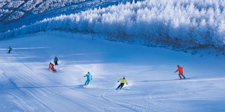▲河北萬龍滑雪場。　圖：海峽兩岸旅遊交流協會／來源