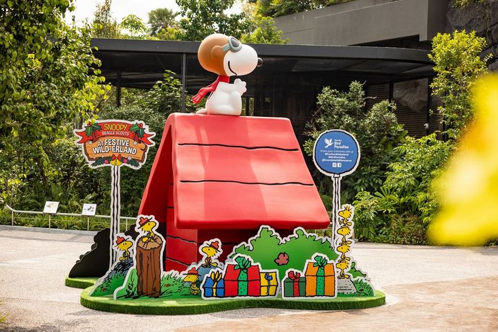 ▲萬態野生動物世界，在飛禽公園與新加坡動物園推出Snoopy主題活動。　圖：萬態野生動物世界／提供