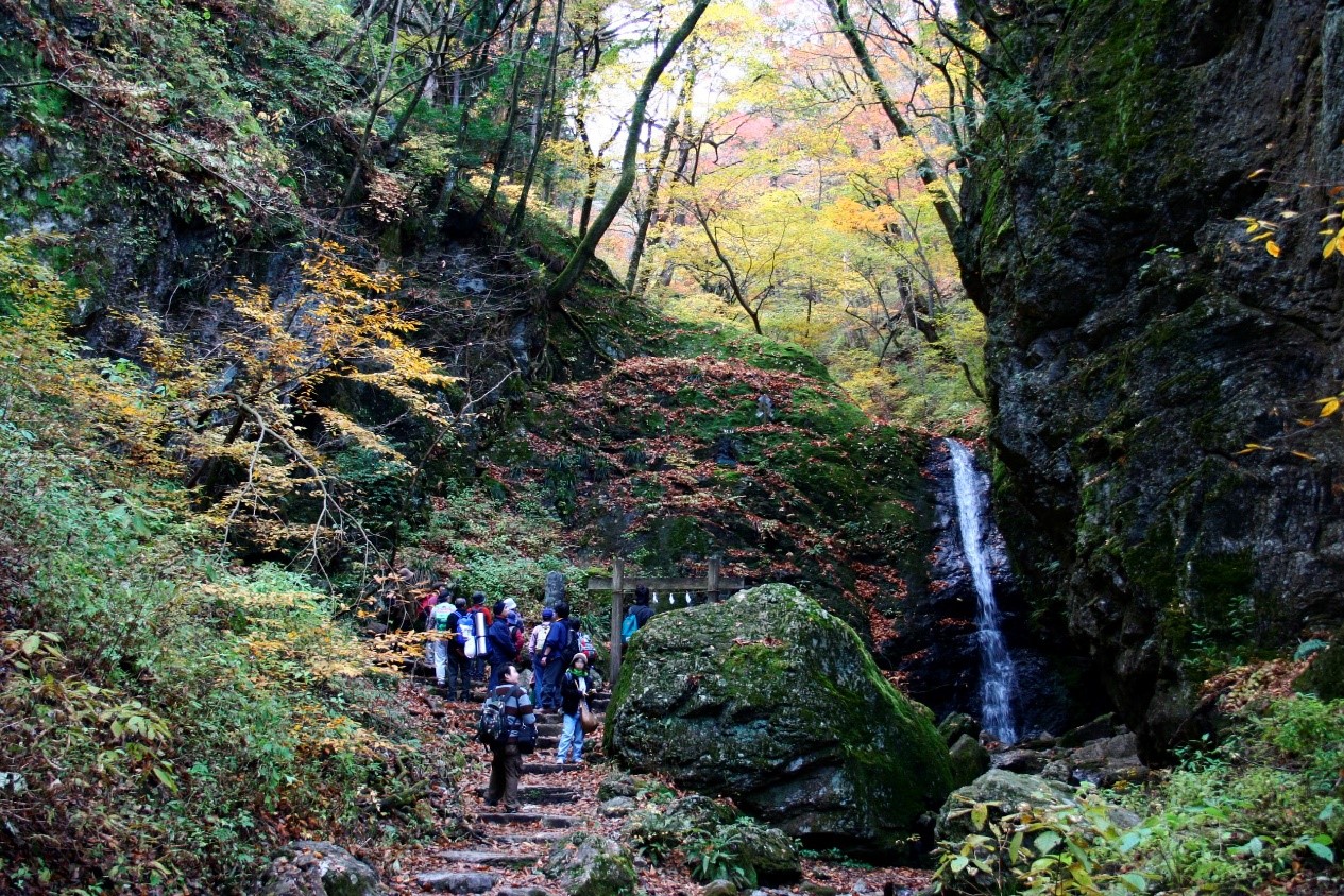 ▲在瀑布修行前，山路健行，感受芬多精洗禮。　圖：©靜山莊／提供