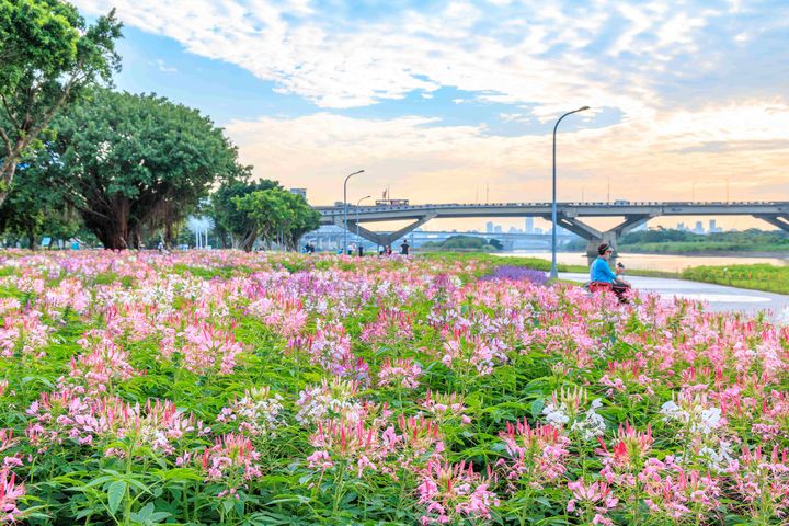 ▲延平河濱營造「英式庭園」的繽紛風格。　圖：台北市政府工務局水利工程處／提供