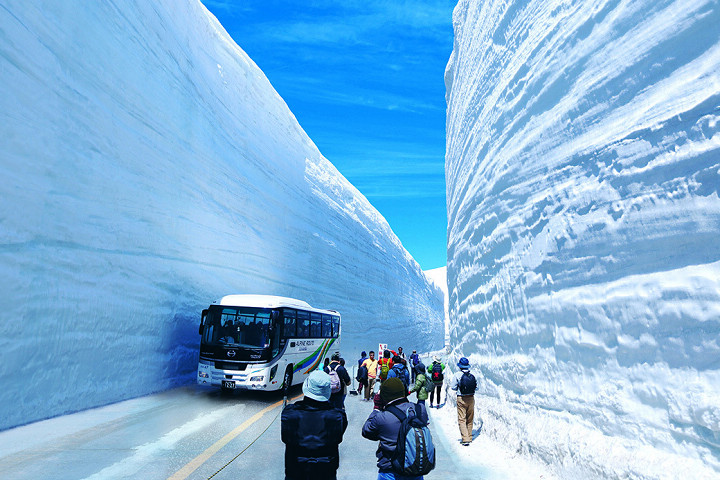 立山黑部開山時的「雪之大谷」風景壯麗，令許多國人趨之若鶩。　圖：向日遊顧問有限公司／提供