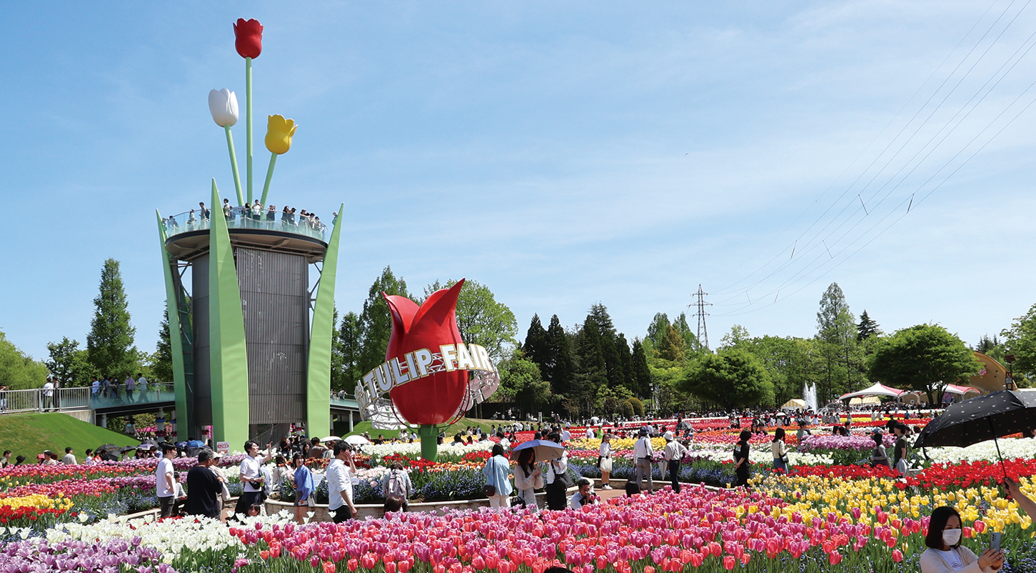 ▲鬱金香公園是人氣景點。　圖：礪波市／提供