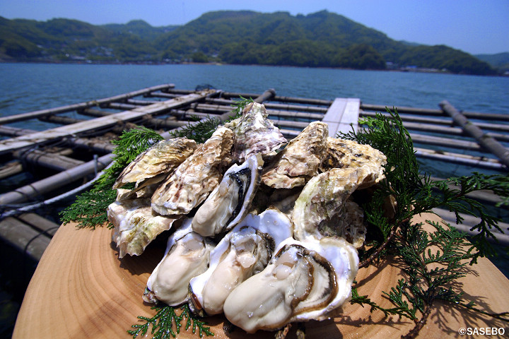 ▲九十九島牡蠣個頭雖小卻飽滿美味。　圖：長崎縣觀光連盟／提供</p