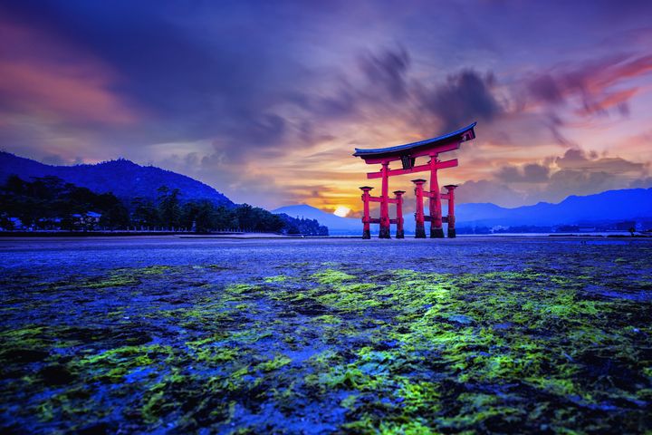 ▲日本3大絕景之一的宮島。　圖：Shutterstock／來源