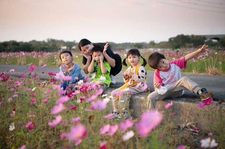 2024嘉義花海生活節花卉綻放七成，週末可攜家帶眷同遊。　圖：嘉義市政府建設處暨觀光新聞處／提供