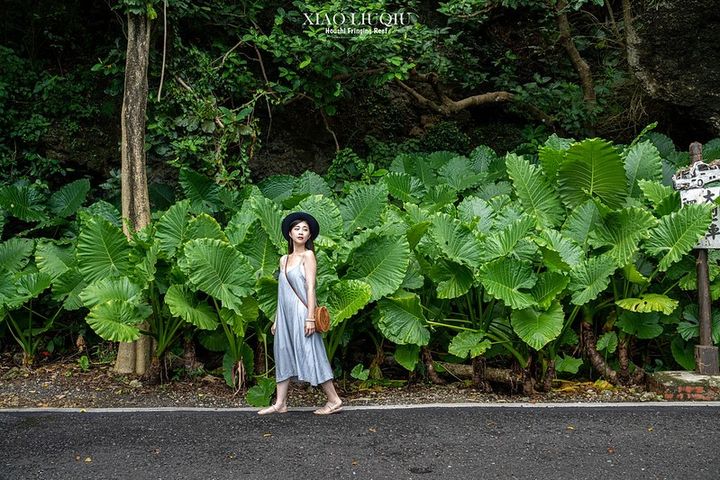 ▲小琉球綠色體驗推廣，成為綠色天堂。　圖：大鵬灣國家風景區管理處／提供