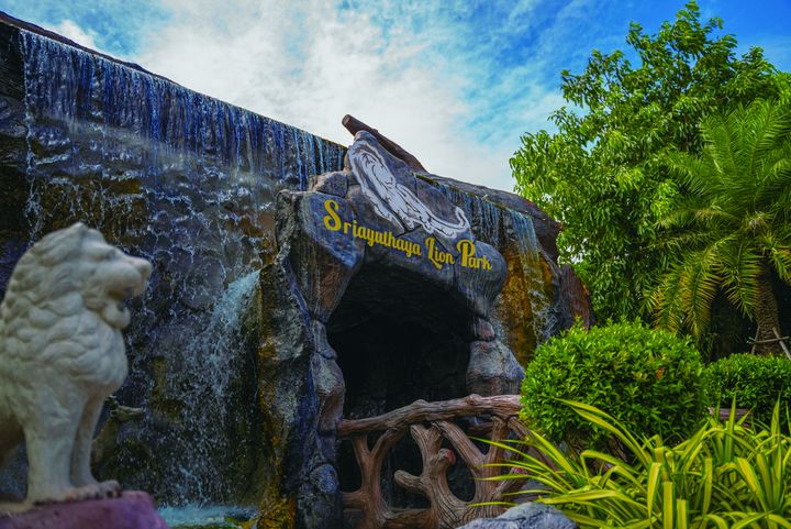 ▲安排旅客前往大城動物園，近距離與野生動物互動。　圖：shutterstock／來源