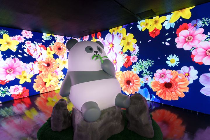 ▲大小朋友到海洋公園即可躍進「玩轉冬日園」大熊貓盛典及沉浸於「大熊貓『竹』夢之旅」。　圖：香港海洋公園／提供