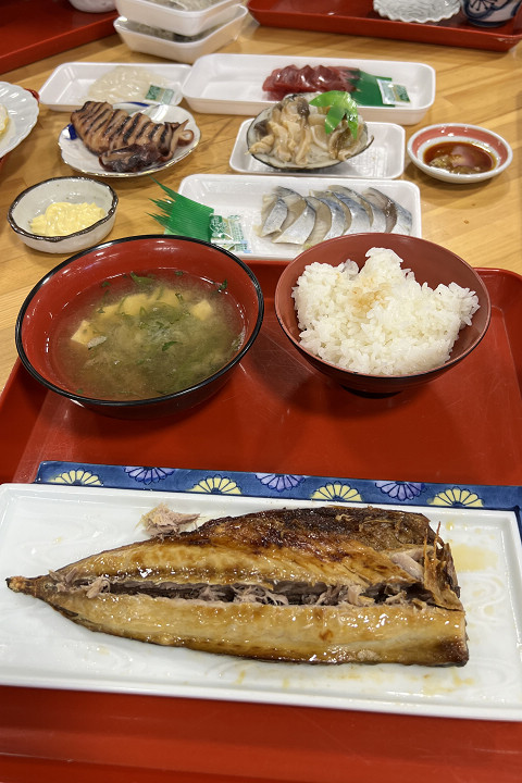 ▲在陸奧湊站前早市食堂享用自選組合的豐盛早餐。　圖：向日遊顧問有限公司／提供