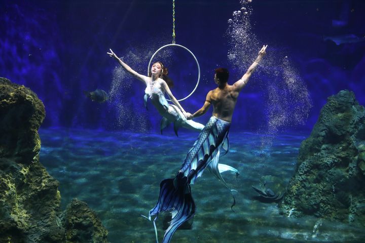 ▲遠雄海洋公園-美人魚實境秀-印度洋心之旅。　圖：遠雄海洋公園／提供