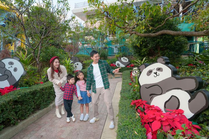 迎接春節假期，香港海洋公園為熊貓家族規劃了一系列精彩賀歲活動與遊客同歡。　圖：香港海洋公園／提供