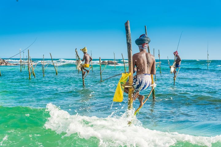 ▲斯里蘭卡獨特的釣魚方式：高蹺立釣。　圖：飛揚旅遊／提供