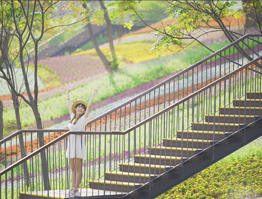 ▲花海美景、多樣精采活動都在三層崎。　圖：台北市政府工務局公園路燈工程管理處／提供