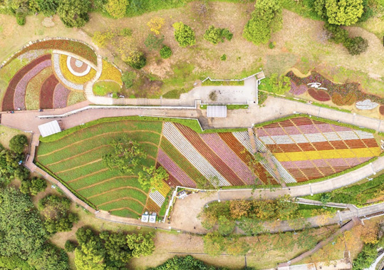 ▲俯瞰大冠鷲地景示意圖。　圖：台北市政府工務局公園路燈工程管理處／提供