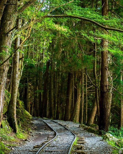 ▲特富野古道。　圖：嘉義縣文化觀光局／提供