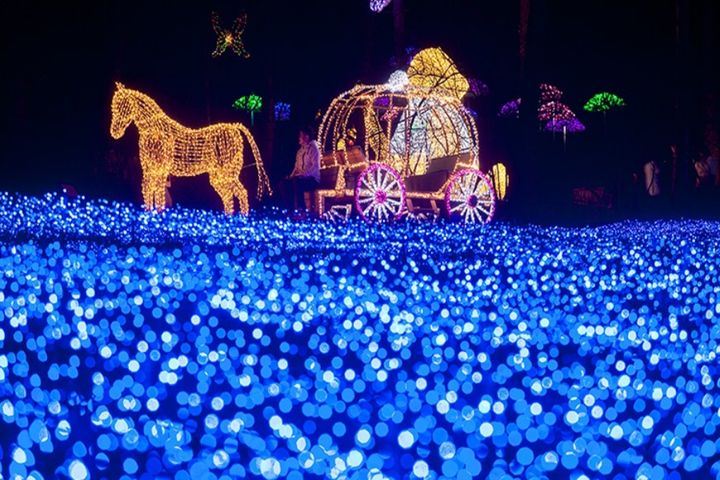 ▲「晨靜樹木園」的夜間點燈，是旅客喜愛拍照分享的夢幻畫面。　圖：東南旅遊／提供