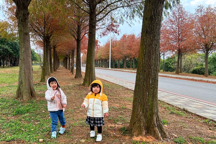 落羽松大道吸引不少遊客帶著小孩來踏青拍照。　圖：麗寶樂園渡假區／提供