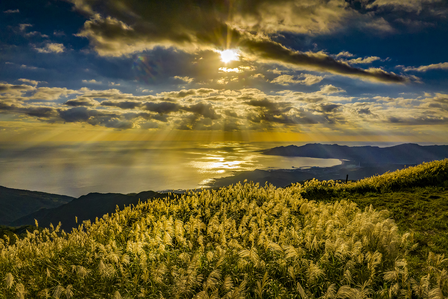 ▲銅牌獎－陳麗秋《秋芒之美》。　圖：東北角及宜蘭海岸國家風景區管理處／提供