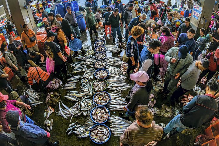 ▲銀牌獎－林民基《現撈ㄚ》。　圖：東北角及宜蘭海岸國家風景區管理處／提供