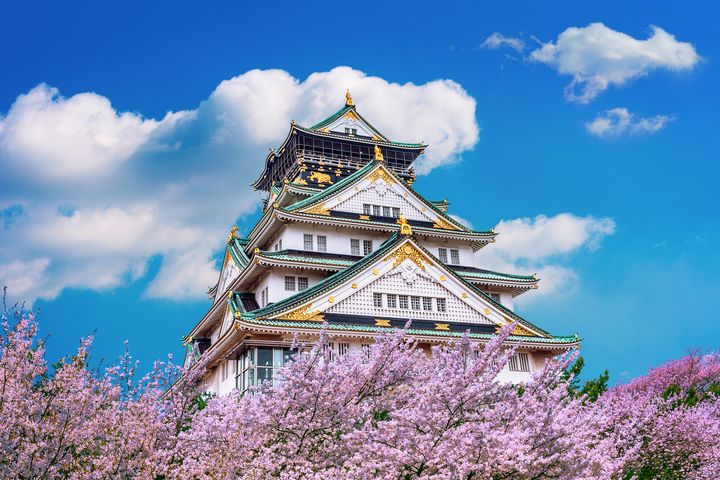 春日出遊好時機，直飛大阪賞櫻去。　圖：shutterstock／來源