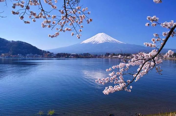 ▲針對北中南部出發的旅客推出熱門賞櫻目的地東京、大阪、首爾等地機票優惠。　圖：KKday／提供