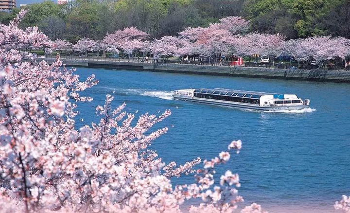 ▲同步推薦大阪城公園、水上巴士賞櫻船等特色活動。　圖：KKday／提供