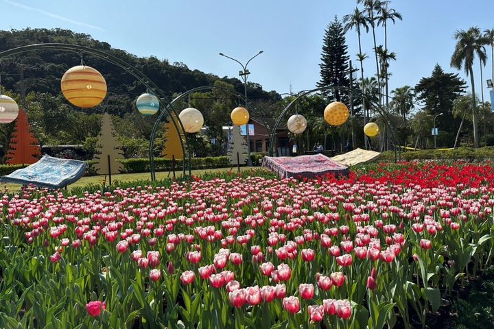▲魔毯及星球搭配鬱金香呈現「香戀土耳其」。　圖：台北市政府工務局公園路燈工程管理處／提供