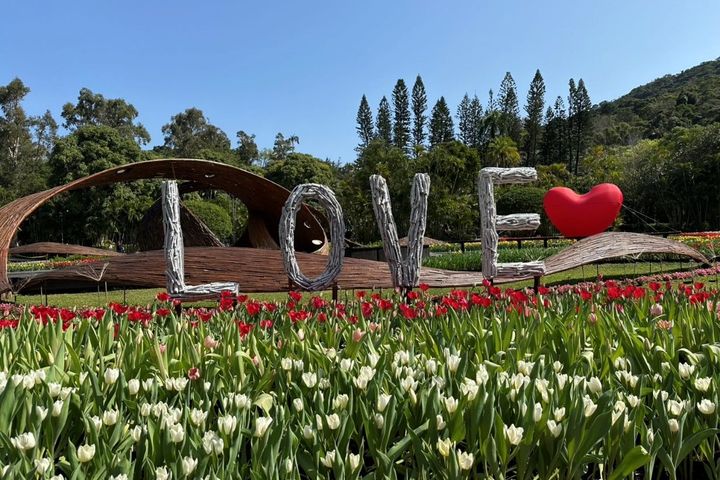 以「LOVE」搭配鬱金香，象徵把愛傳播到世界各國。　圖：台北市政府工務局公園路燈工程管理處／提供