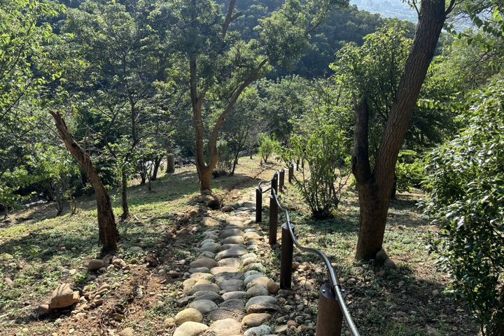 鐵砧山林之道手作步道－好漢坡路段。　圖：臺中市政府觀光旅遊局／提供