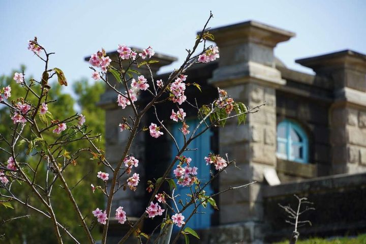 ▲山上花園水道博物館（櫻花）。　圖：臺南市政府觀光旅遊局／提供