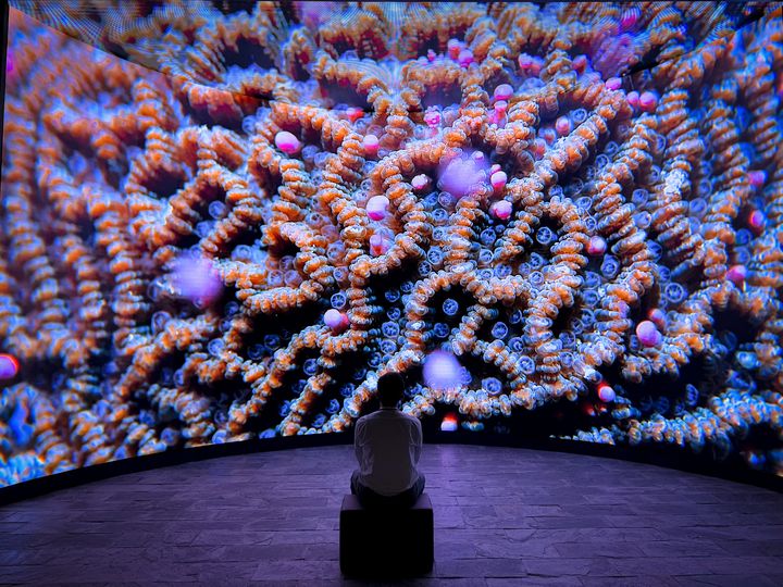▲透過沉浸式弧形螢幕讓民眾更靠近海洋世界。　圖：國立海洋生物博物館／提供